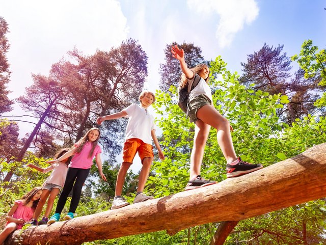 Fünf Kinder laufen über einen Holzstamm